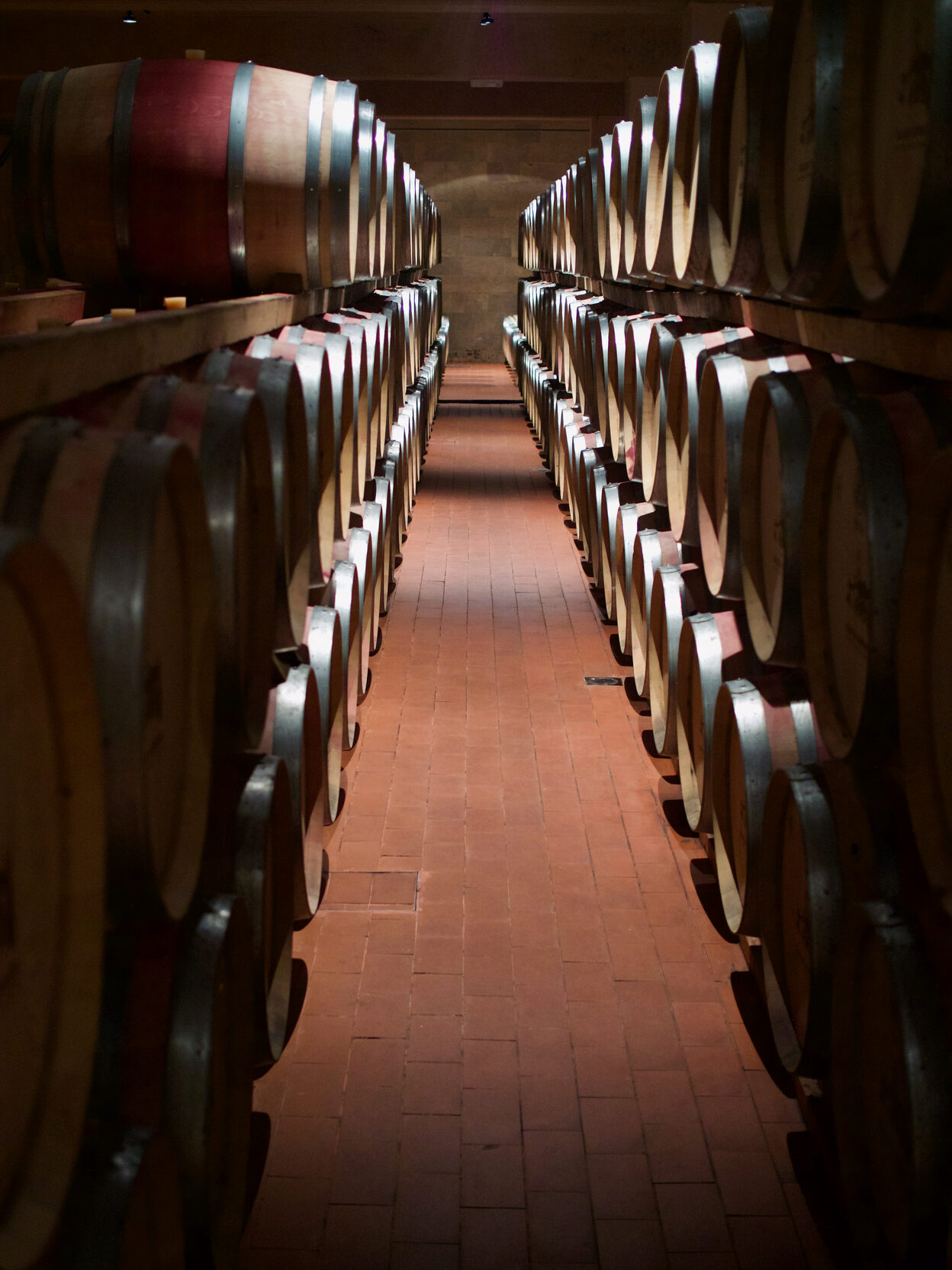 Rows of wine barrels for aging wine